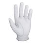 Picture of Footjoy Mens Pro FLX Golf Glove