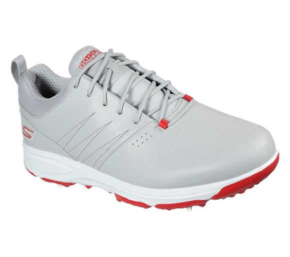 Picture of Skechers Men's GO GOLF TORQUE - PRO 214002