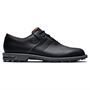 Picture of Footjoy Mens Premiere Series Flint Golf Shoes - 53916