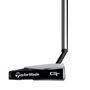 Picture of TaylorMade Spider GT Putter - Short Slant - Silver