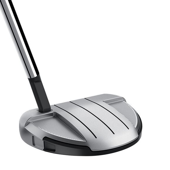 Picture of TaylorMade Spider GT Rollback Putter - Short Slant - Silver
