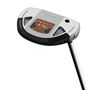 Picture of TaylorMade Spider GT Rollback Putter - Short Slant - Silver