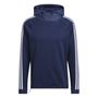Picture of adidas Mens 3 Stripes COLD.RDY Hoodie - HS4813