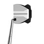 Picture of TaylorMade Spider GT X Small Slant Putter - Silver **NEXT BUSINESS DAY DELIVERY**