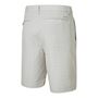 Picture of Ping Mens Pendle Shorts - Mineral Multi