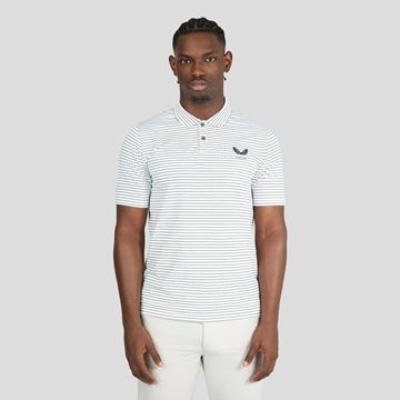 Picture of Castore Mens Stripe Polo Shirt - White/Hunter