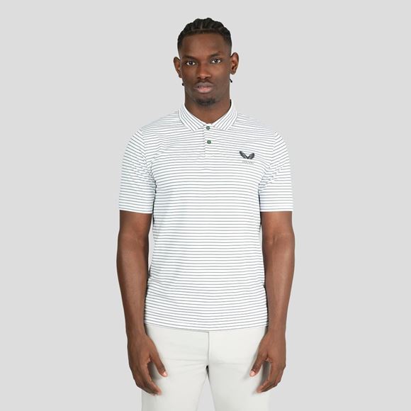 Picture of Castore Mens Stripe Polo Shirt - White/Hunter