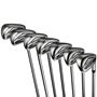 Picture of Cobra DS-ADAPT Irons - Steel 5-PW