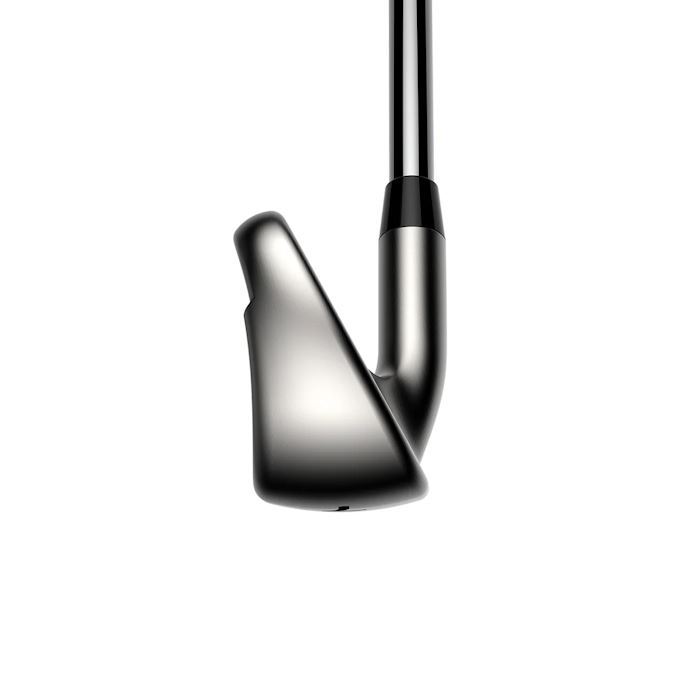 Cobra ds adapt irons graphite