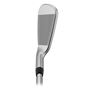 Picture of Ping i210 Irons 5-PW Blue Dot Regular Dynamic Gold MID 100 R300 Steel