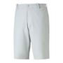 Picture of Puma Mens Dealer 10" Golf Shorts - Ash Grey