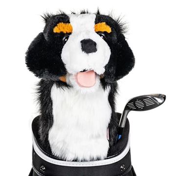Picture of Daphne's Animal Driver Headcover - Bernese Mountain Dog