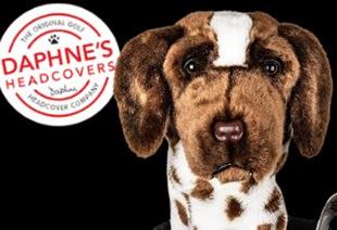 Picture for category Daphne's Animal Headcovers