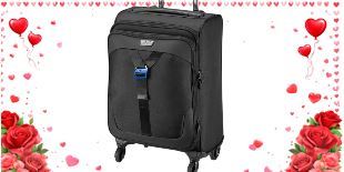 Picture for category Travel Bags