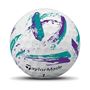 Picture of TaylorMade SpeedSoft Ink Golf Balls - Purple/Teal 2026